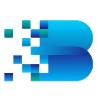Biren Technology logo